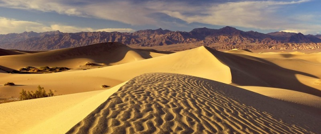 8 choses les plus étranges découvertes dans le désert