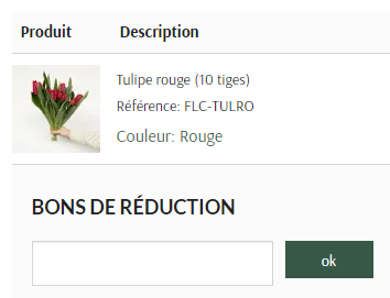 Comment utiliser le code promo France Fleurs