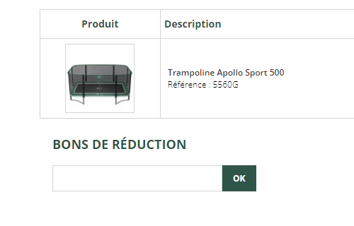 Comment utiliser le code promo France Trampoline