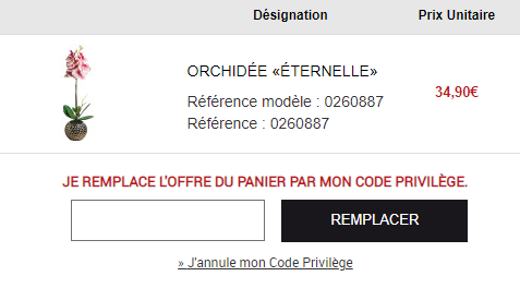 Comment utiliser le code promo L'Homme Moderne