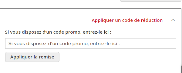 Comment utiliser le code promo SBA FRANCE