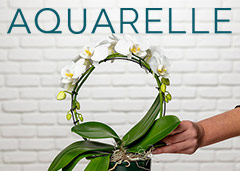 code promo Aquarelle