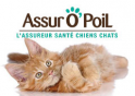 Assuropoil.fr Assuropoil.fr