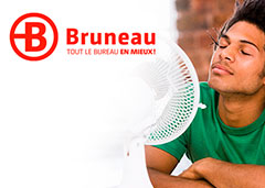 bruneau.fr