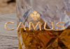 Codes promo Camus