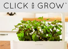 code promo Click & Grow