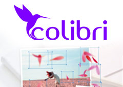 code promo ColibriWP