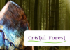 Codes promo Cristal forest