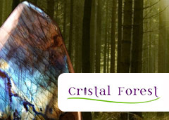 code promo Cristal forest