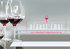 degustationsdevins.com