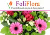 Codes promo Foliflora