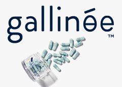 code promo Gallinée
