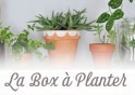 Laboxaplanter.com Laboxaplanter.com