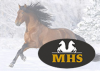 Codes promo Minihorseshop