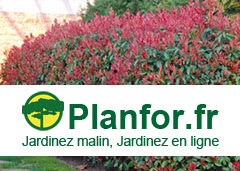 planfor.fr