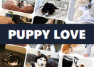 code promo Puppy Love