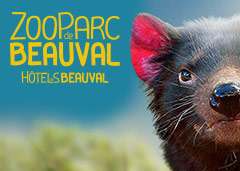 code promo ZooParc de Beauval